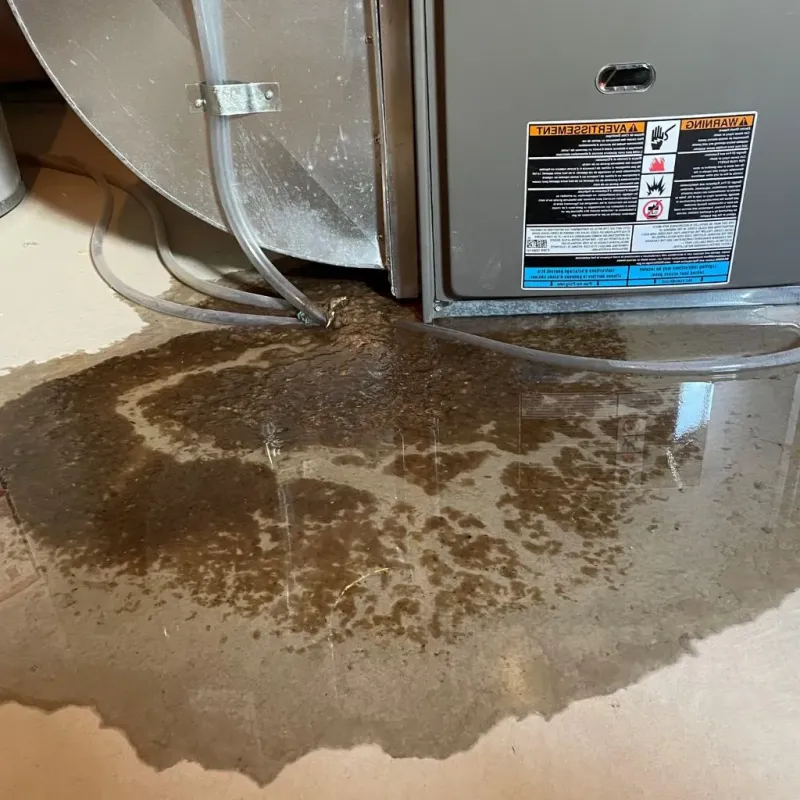 Pipe Burst and Leak Restoration in Ashton, ID